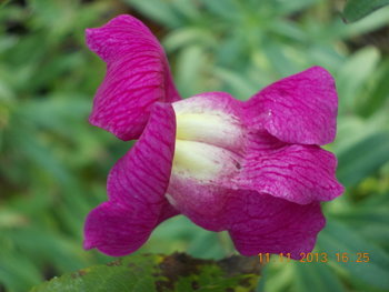 rsz_picture_066.jpg