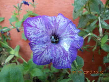 rsz_picture_072.jpg
