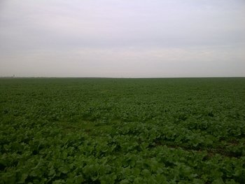 rsz_img-20131113-01733.jpg