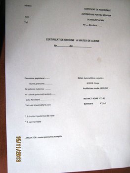 cert.JPG