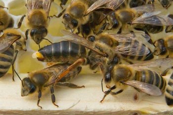 1235218_220758524750354_758681646_n (Copy).jpg
