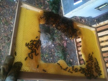 rsz_20130821_img_0987.jpg