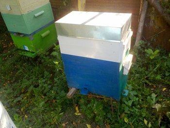 28072013285.jpg