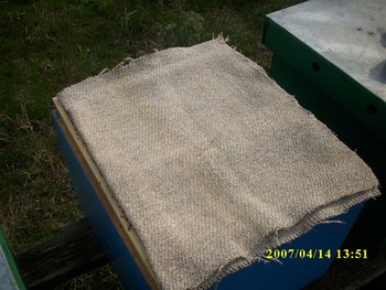 IMG_0385.JPG