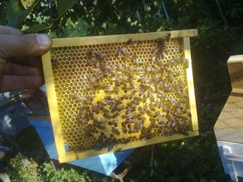 28072013280.jpg