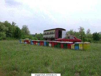 ok_54161.jpg