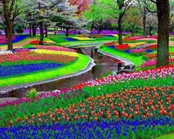 Keukenhof , Olanda - cea mai mare gradina de flori din Europa (Copy).jpg