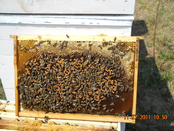 DSCN1086.JPG