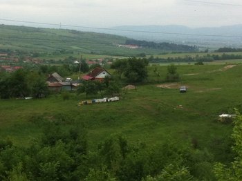IMG_0547.JPG