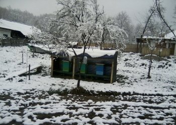 Stupina!.jpg