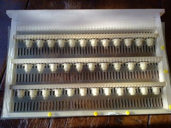 85121420_LQJLKTK3 (Copy).jpg