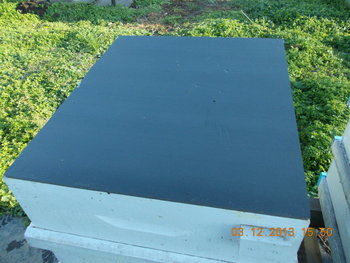 rsz_picture_025.jpg