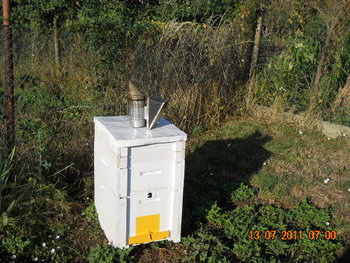 DSCN1087.JPG