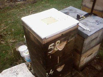 SP_A2276.jpg