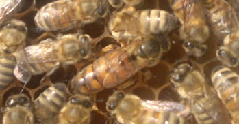2013-08-15-128_1.jpg