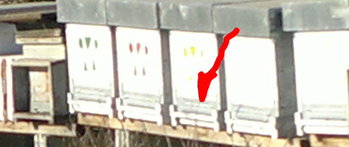 2013-12-10-326_1.jpg