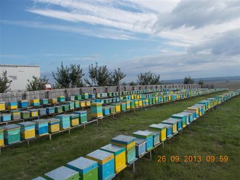 DSCN1936 (Medium).JPG