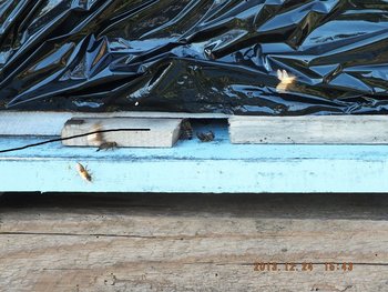 DSCF5082.JPG
