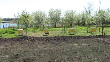 DSCF0977 (Small) (2).JPG