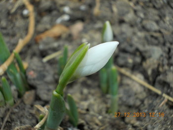 rsz_picture_009.jpg