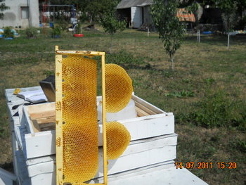 DSCN1116.JPG