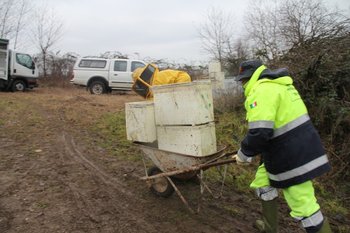 IMG_2501.jpg