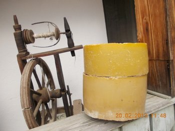 STUPINA LUI FLORINELU 013.JPG