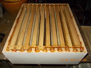 rsz_picture_021.jpg