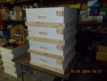 rsz_picture_007.jpg