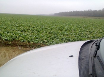 Vizita la rapita.jpg