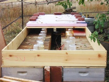OverwinteringNucs1.jpg
