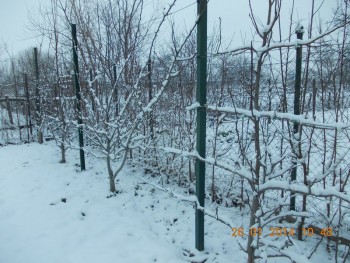 rsz_1picture_003.jpg