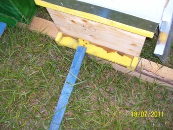 100_6455.jpg