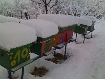 IMG_3036_opt.jpg