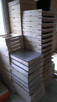 IMAG04571.JPG