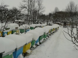 20140201_121225 (Copy).jpg