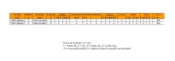 19tabel evaluare.JPG