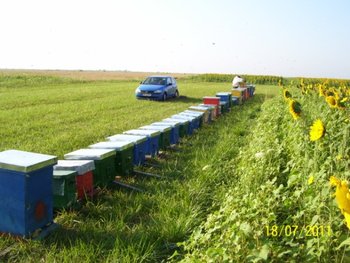 100_6477.jpg
