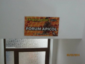 phpvoRWzLAM.jpg