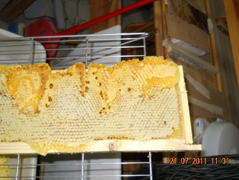 DSCN1126.JPG