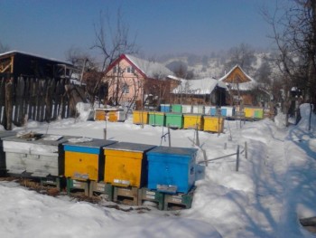 6 Februarie 2014.jpg
