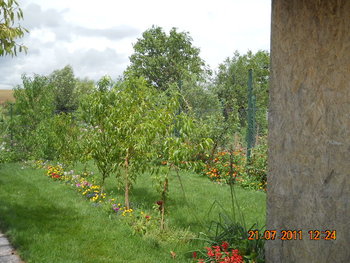 DSCN1127.JPG