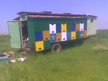 Stup024.jpg