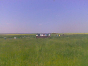 Stup030.jpg