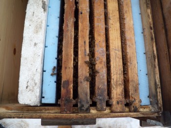 tdscn0829.jpg