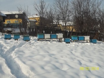 15.JPG