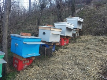 20140211_093548.jpg
