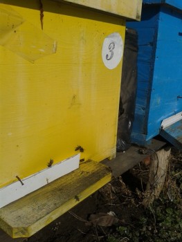 20140215_115405.jpg