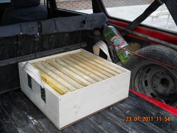 DSCN1135.JPG (175.88 KiB) Vizualizat de 8425 ori DSCN1135.JPG