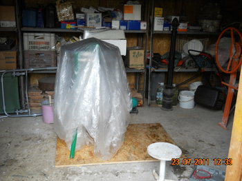 DSCN1231.JPG